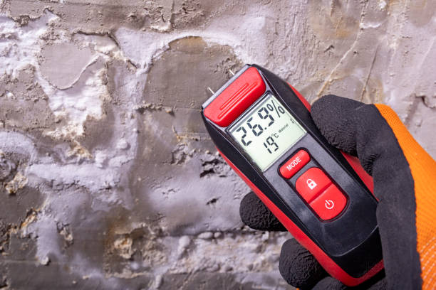 Best Residential Mold Remediation in Anthony, TX
