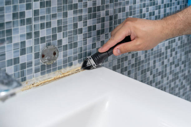Best Health and Safety Mold Remediation in Anthony, TX