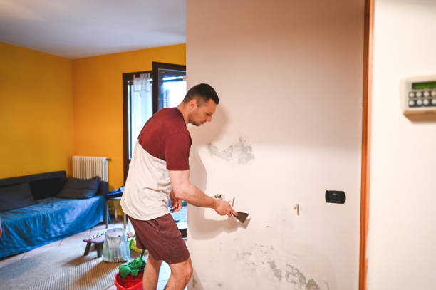 Best Post-Remediation Services in Anthony, TX