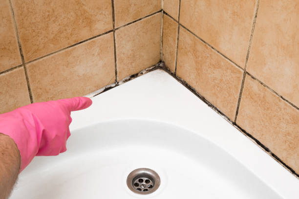 Best Residential Mold Remediation in Anthony, TX